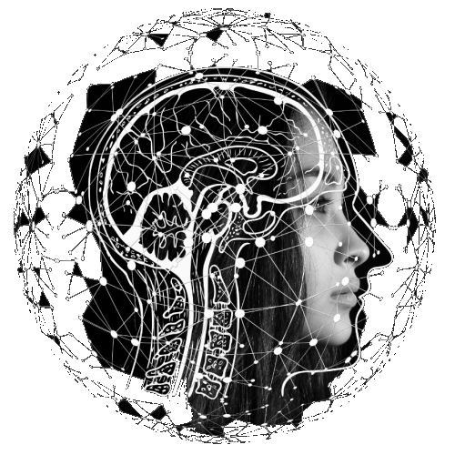 Portfolio | decorative design of a female face and skull/brain outlines